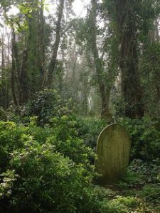 гиблые места