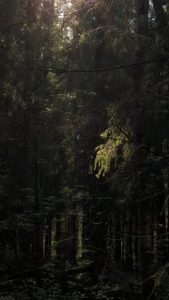 ведьмины места