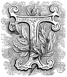 буквы алфавит имена характер