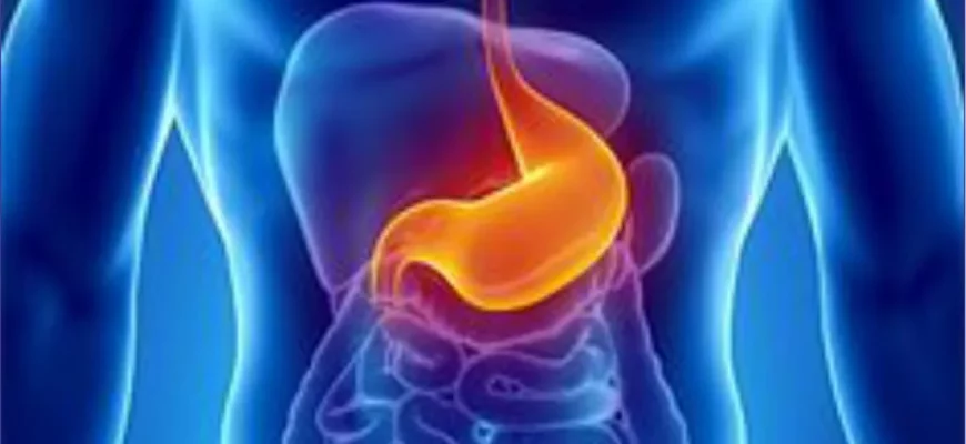 лечение желудок целительство травы магия поджелудочная